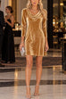 Febedress Cowl Neck Long Sleeve Velvet Mini Dress